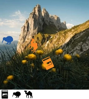 a developer and robot working together to bypass the tiktok captcha